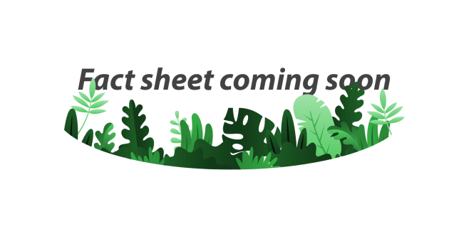 The Factsheets Are Coming Soon