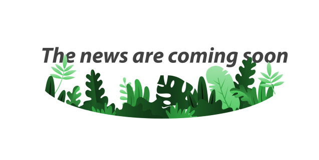 The News Are Coming Soon