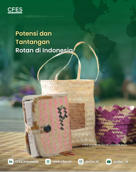 Potensi dan Tantangan Rotan di Indonesia
