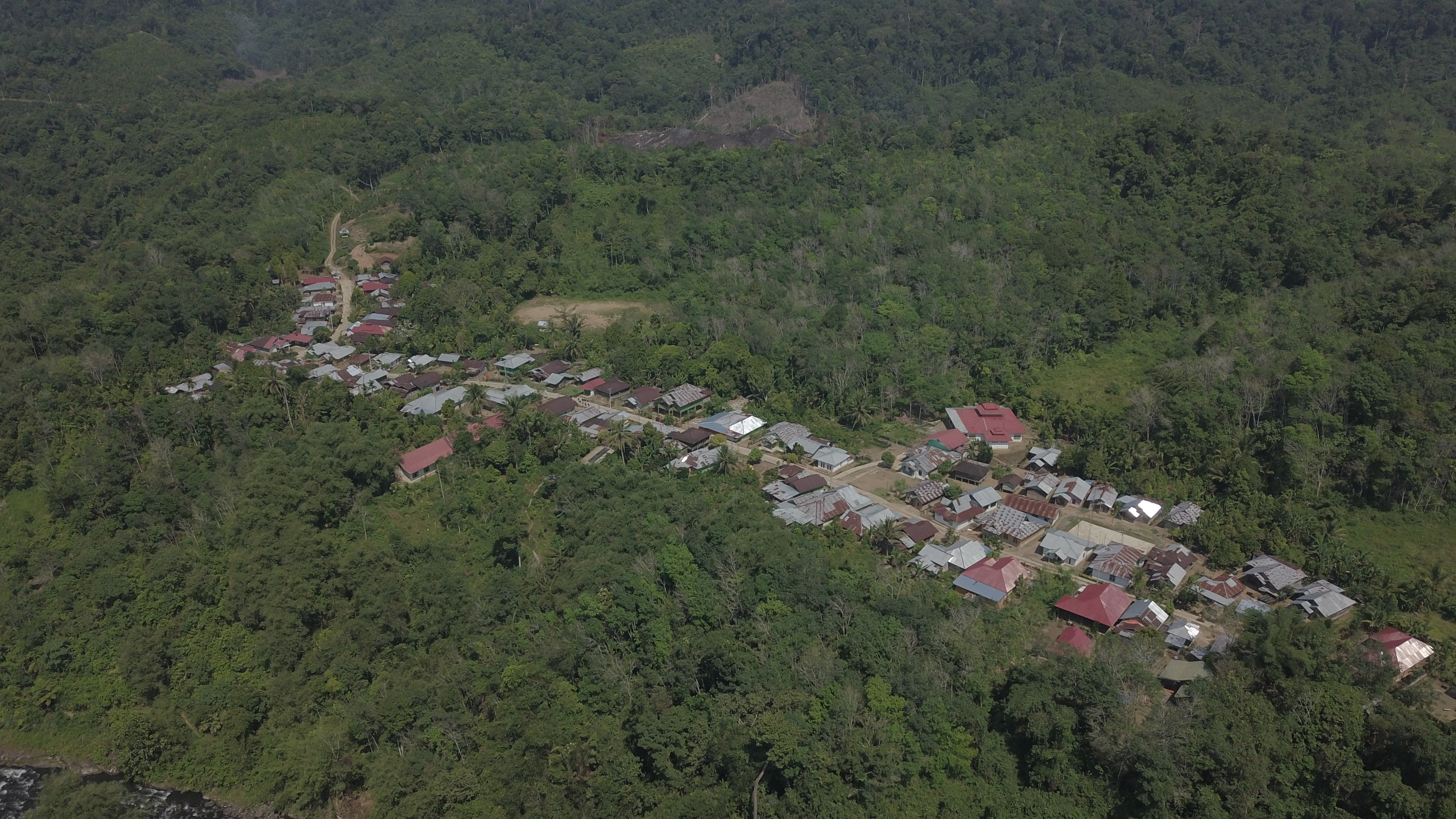 Biodiversity Offset di Indonesia: Tantangan, Peluang, dan implementasi di Hutan Desa Rio Kemunyang