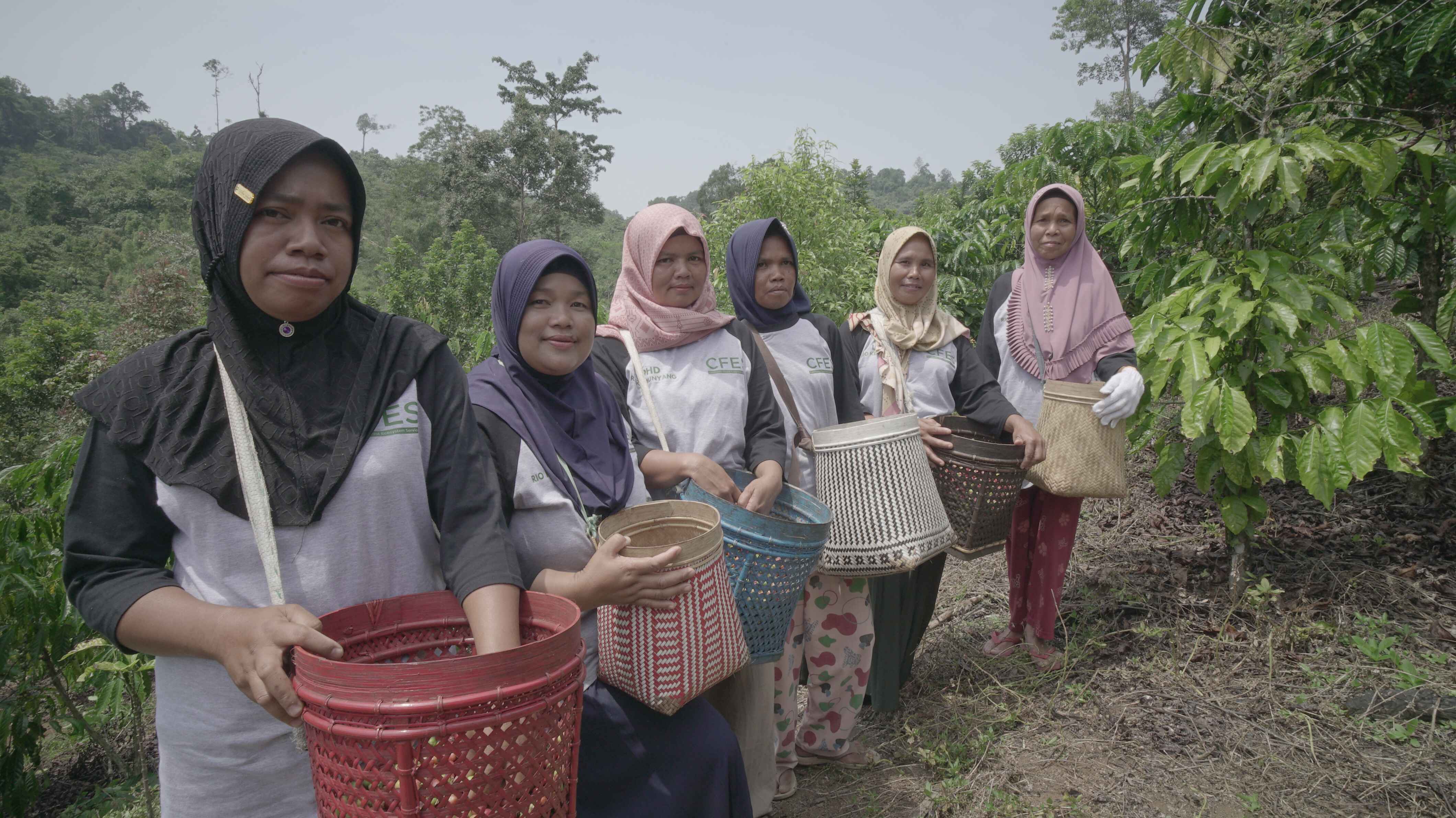 Biodiversity Offset di Indonesia: Tantangan, Peluang, dan implementasi di Hutan Desa Rio Kemunyang