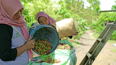 KUPS Harapan Baru: Mendorong Ekonomi Masyarakat dalam Pengelolaan Hutan Berkelanjutan