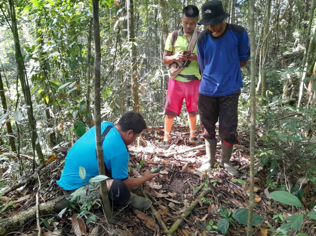 Peran Besar Tim Patroli Dalam Melindungi Hutan Desa Rio Kemunyang