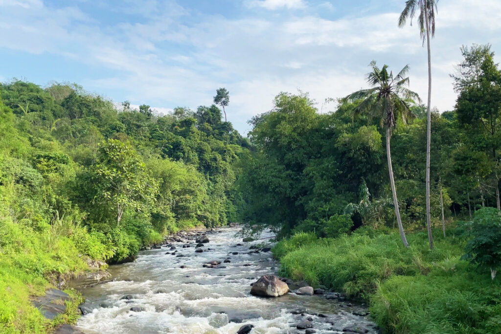 HD Rio Kemunyang