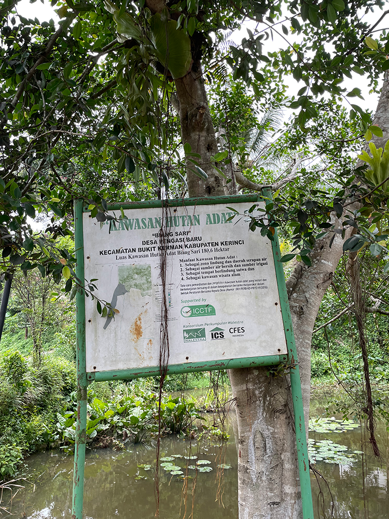 Giat Patroli Hutan Adat Biang Sari, Desa Pengasi Baru