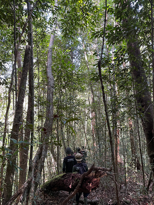 Giat Patroli Hutan Adat Biang Sari, Desa Pengasi Baru