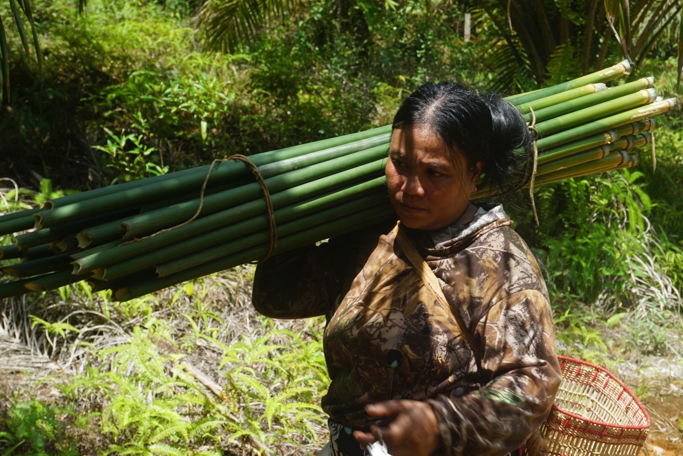 Baseline Sosial dan Ekonomi - Desa Sepakat Jaya