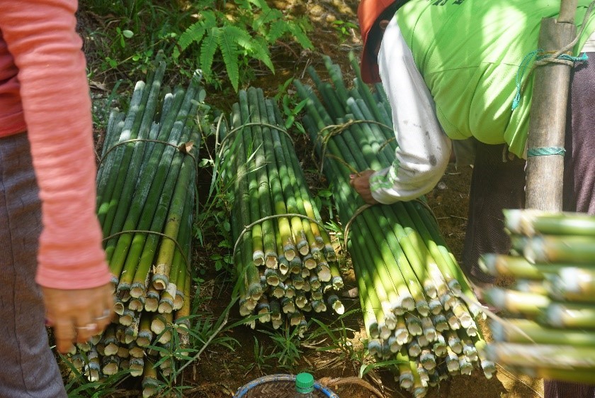 Baseline Sosial dan Ekonomi - Desa Sepakat Jaya