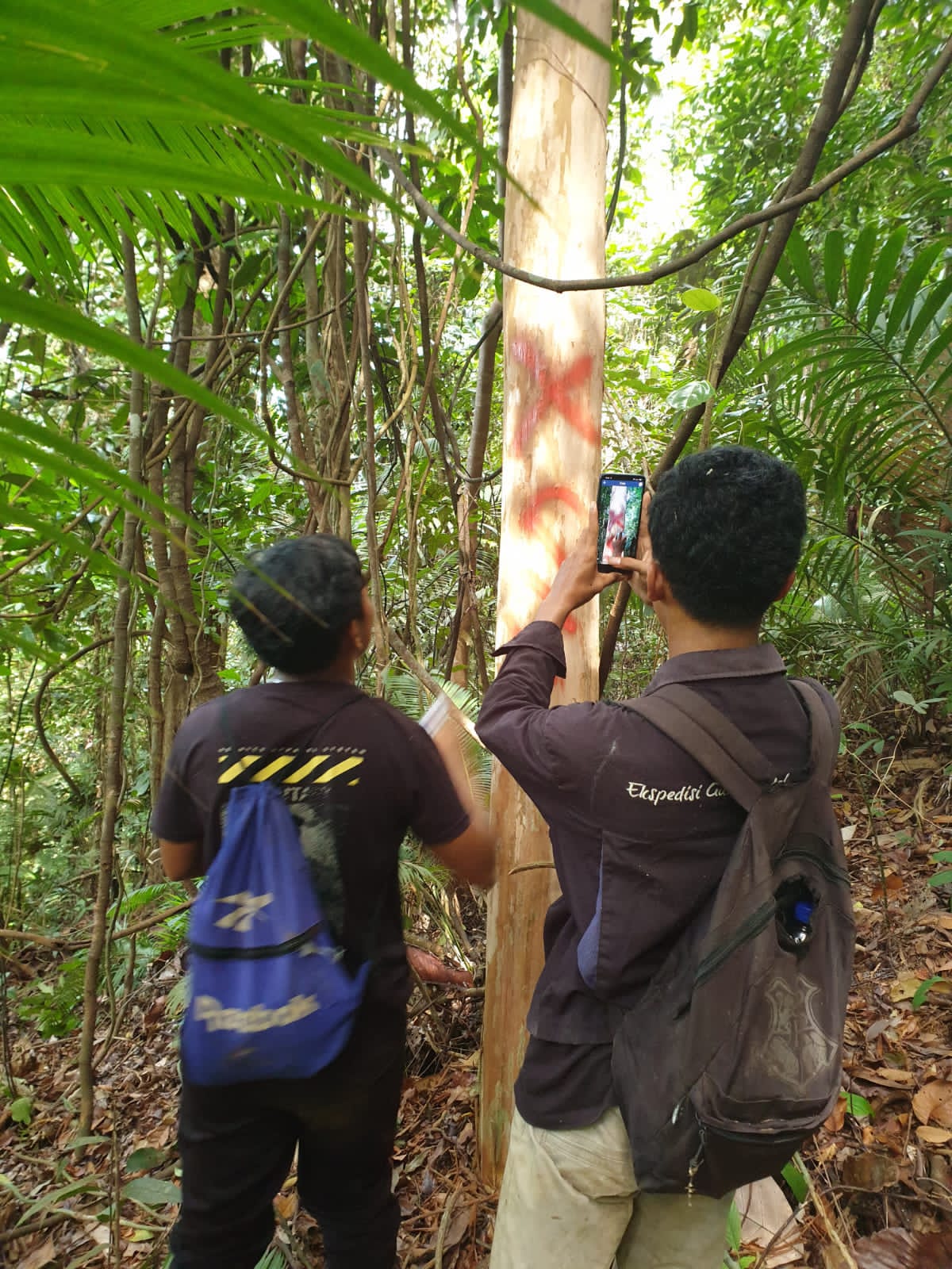Hutan Desa Manjau: Dari Miskonsepsi Menuju Partisipasi untuk Menguatkan Kesejahteraan dan Kelestarian Bersama