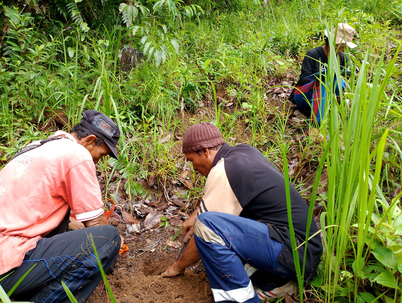 Menanam Harapan, Menjaga Mata Air Hutan Desa Manjau