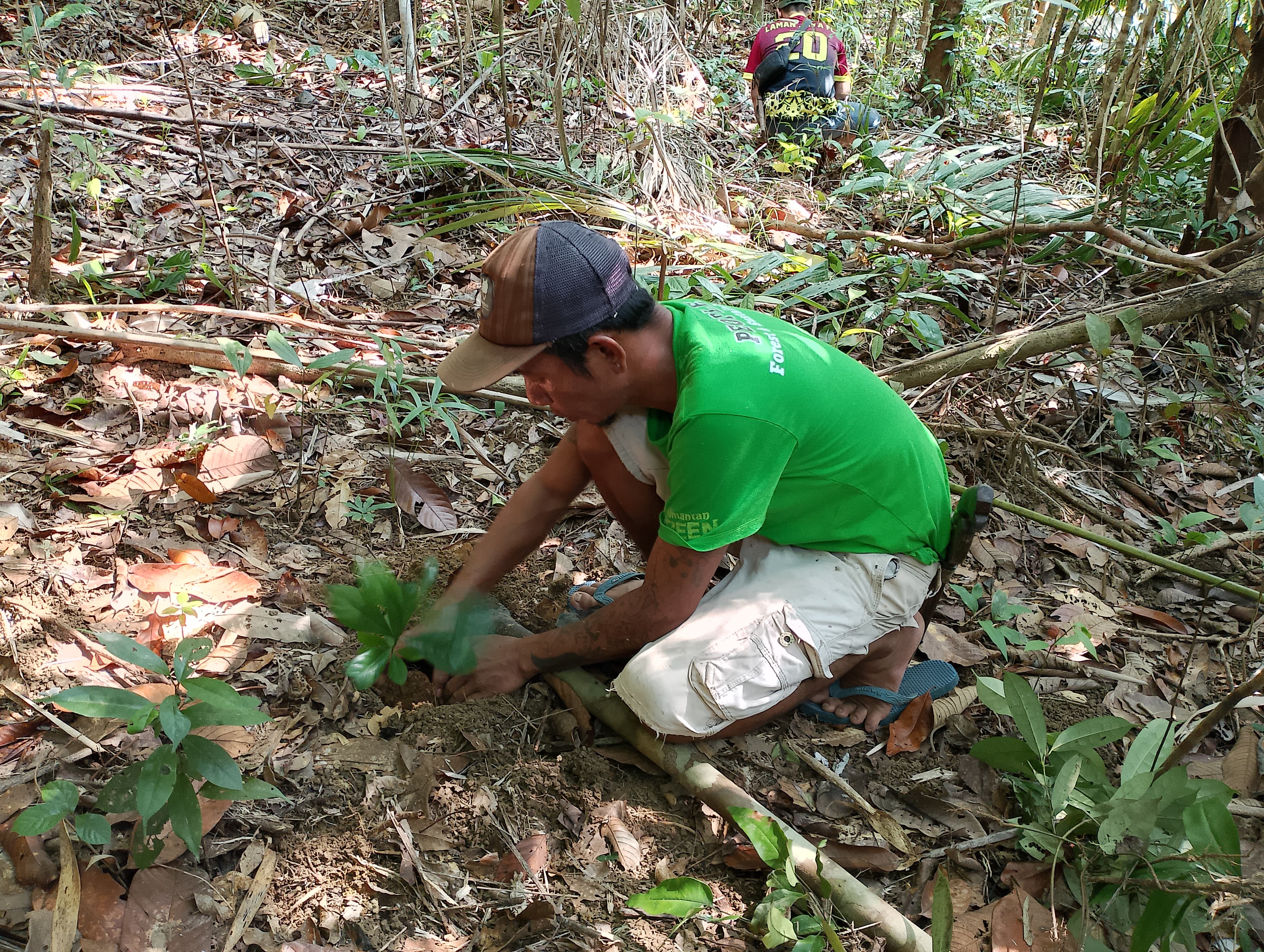 Menanam Harapan, Menjaga Mata Air Hutan Desa Manjau