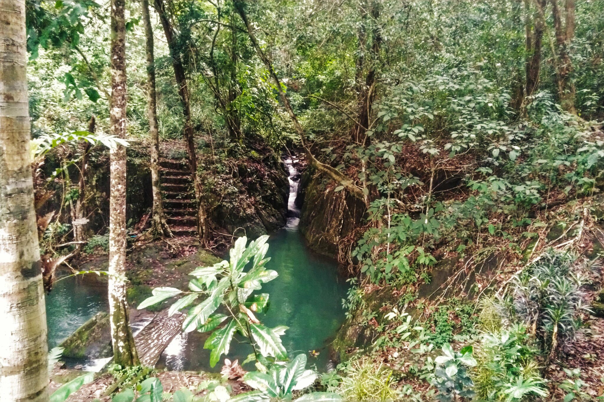 Biodiversity Survey Laman Satong