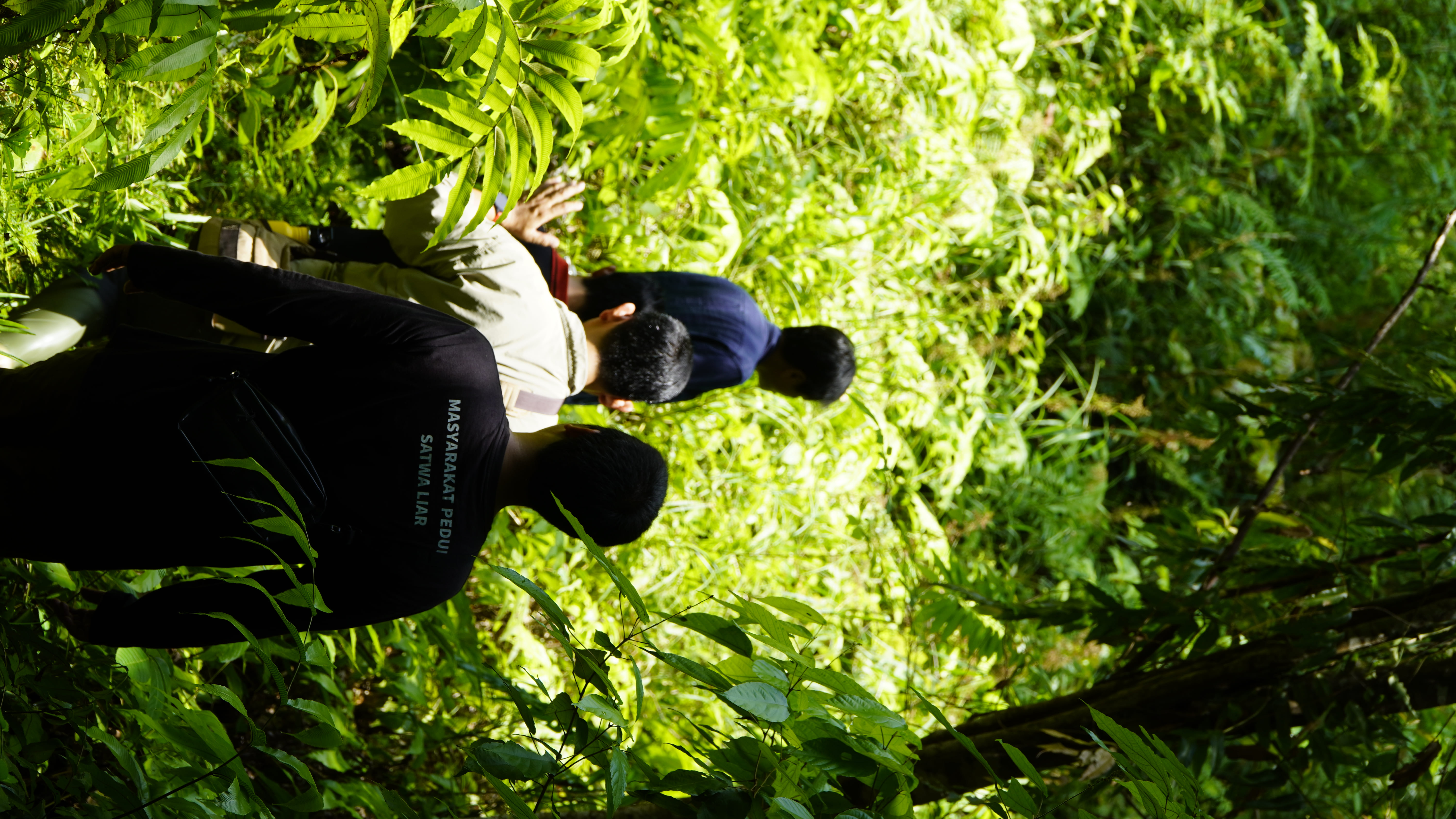 Meninjau Implementasi Program Hutan Desa Manjau di Laman Satong