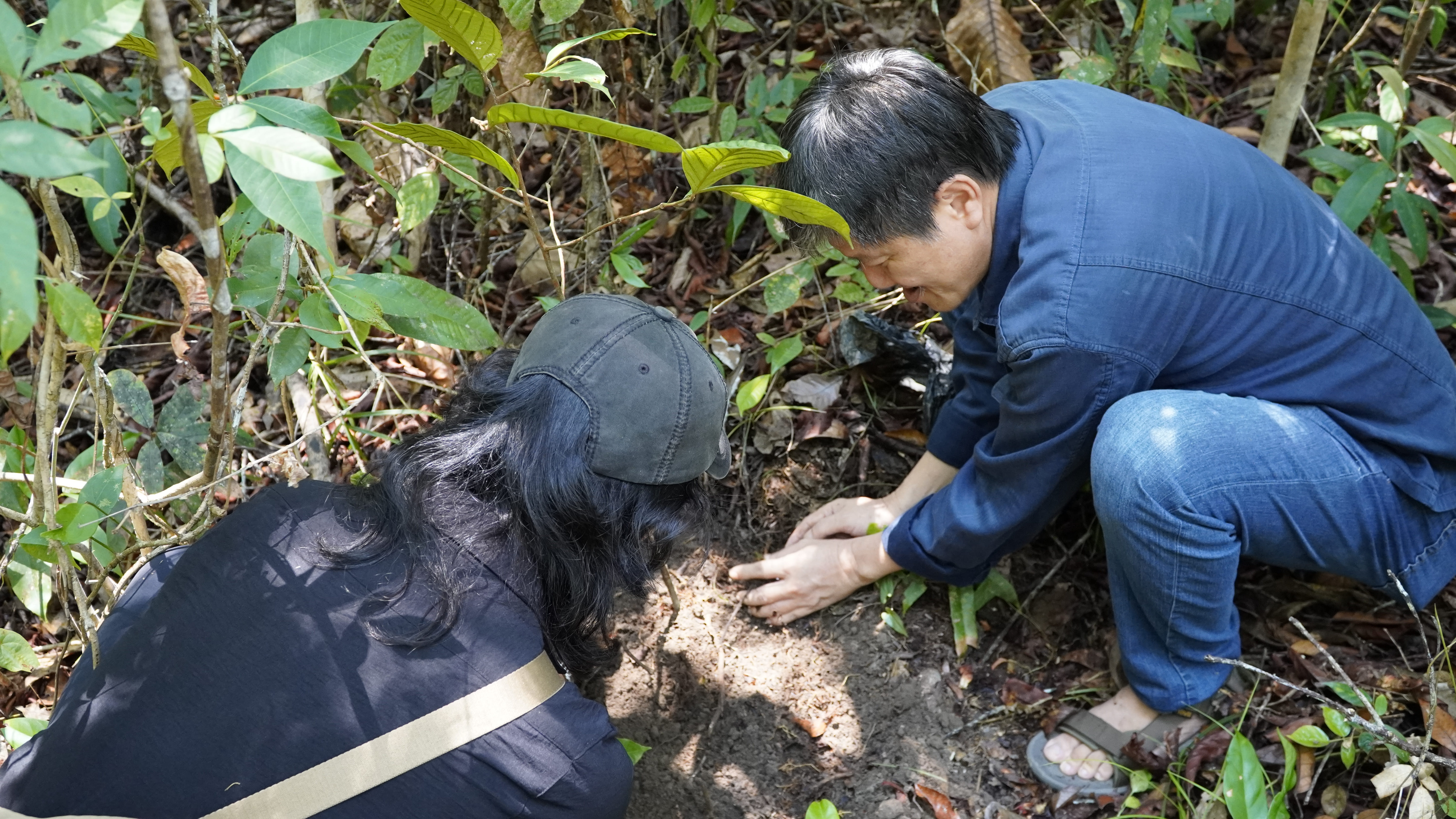 Meninjau Implementasi Program Hutan Desa Manjau di Laman Satong