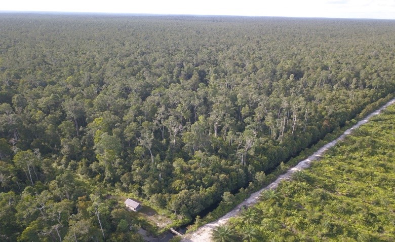 Baseline Biodiversity Hutan Desa Telaga